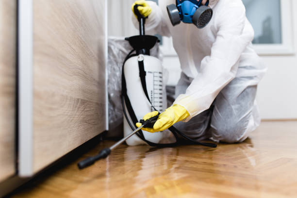 Best Best Pest Control Companies  in David City, NE