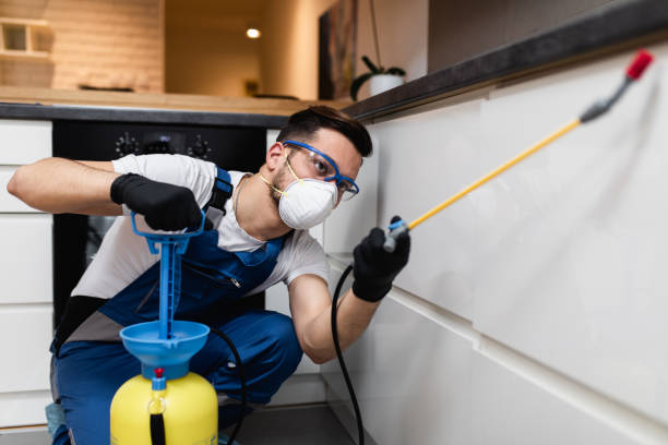 Best Emergency Pest Control  in David City, NE