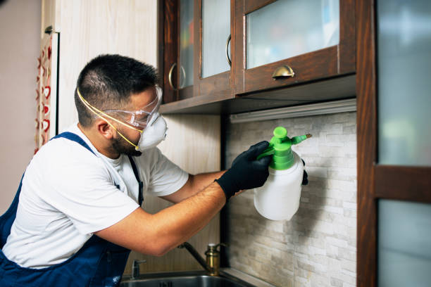 Best Commercial Pest Control Services  in David City, NE