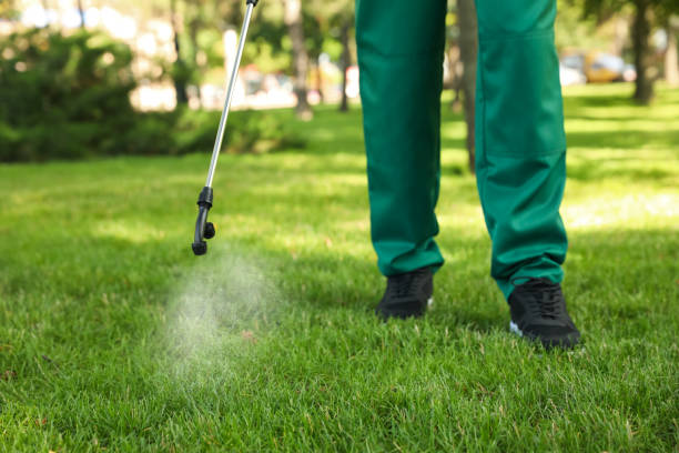 Best Pest Prevention Services  in David City, NE