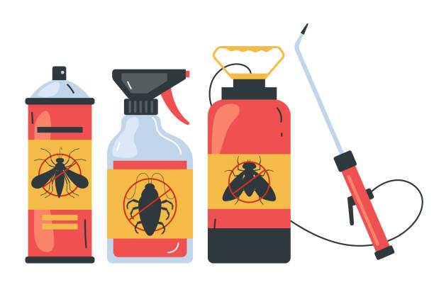 Best Local Pest Control Services  in David City, NE
