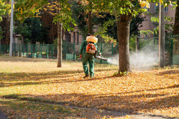 Best Pest Control Near Me in David City, NE