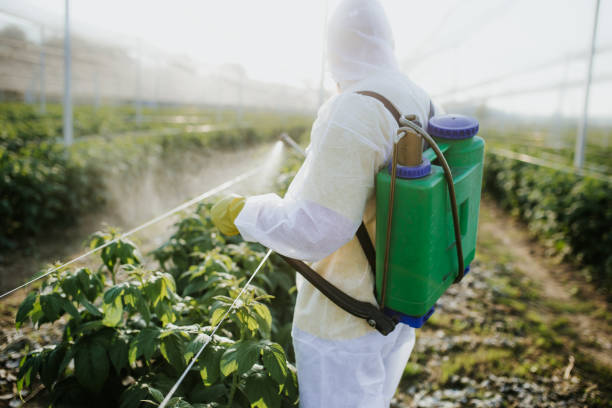 Reliable David City, NE Pest Control Solutions